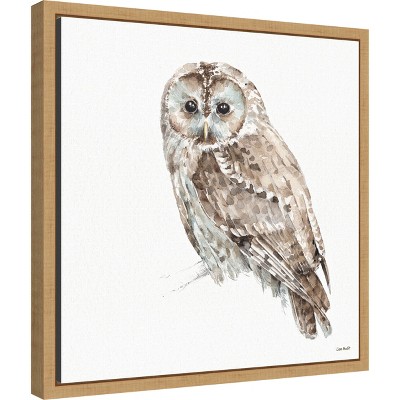 Small Brown and Aqua Framed Owl Canvas Print