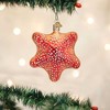 Old World Christmas 4.0 Inch Red Starfish Ornament Beach Ocean Shell Tree Ornaments - 3 of 3