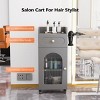 Karl Home Gray Wooden Mobile Salon Trolley Cart with Wheels and Glass Door and Dryer Holder - 3 of 4