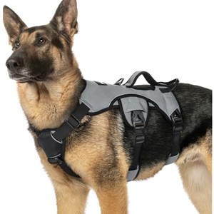 rabbitgoo Escape Proof Dog Harness, Soft Padded Full Body Pet Harness, Reflective Adjustable No Pull Vest with Lift Handle  Training, XL, Grey - 1 of 1