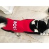 Parisian Pet 'The Boss' Embroidered Pet Tee, Cotton, Red for Dogs & Cats - image 2 of 2