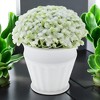 Unique Bargains Artificial Plants Gypsophila Bonsai Plastic 3.74"x3.74"x5.51" 1 Pcs - 2 of 4