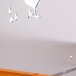 orange 8 holes with legs