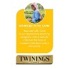 Twinings English Breakfast Individually Wrapped Tea Bags, 50 Count (Pack of 2) - 3 of 3