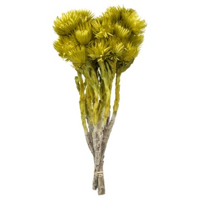 Dried Everlasting Flowers - Natural Helichrysum