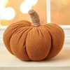 Pumpkin-Shaped or Embroidered Harvest Accent Pillows - 3 of 4
