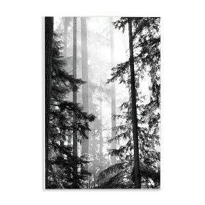 Stupell Industries Forest Light Shining Through Tall Trees Landscape Photography, 15" x 10" - 1 of 4