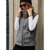 Coolmee Women's Fuzzy Fleece Vest Sleeveless Quilted Jacket Zip Up Vest Winter Coats with Pockets - 2 of 3