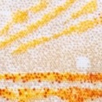 peach paisley