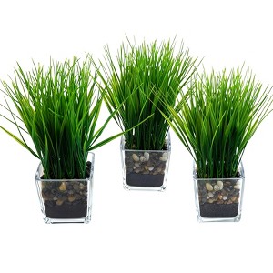 garden pots & planters Panterra Oval Planters main image 1