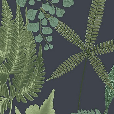 Midsummer Fern Navy Blue and Green Botanical Wallpaper