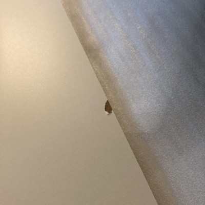Guest review image 1 of 3, zoom in