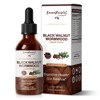 Black Walnut & Wormwood Tincture – Liposomal Herbal Drops for Digestive Cleanse & Gut Balance (98% Absorption) - 2fl.oz - 2 of 4