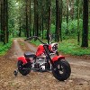 36V 350W Kids Electric Dirt Bike, w/Removable Training Wheels, 16.5MPH Max, Suspension, LED Lights,Music, Leather Seat - 3 of 4