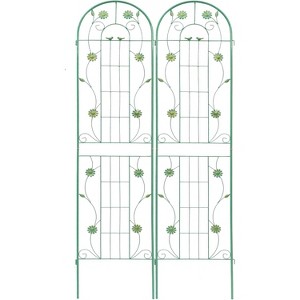 2 Pack Metal Garden Trellis, Garden Trellis for Climbing Plants Easy Assembly Flower Support for Vines Rose Grape Cucumber Beans Peas - 1 of 4