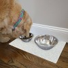 Drymate 12"x 20" Feeding Placemat for Cats and Dogs - Tan Global - 4 of 4