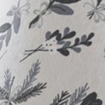 botanical light gray