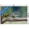 Trends International The Comedy Wildlife Photography Awards: Jacek Stankiewicz - Dispute Unframed Wall Poster Prints - 3 of 4