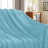 Inhand Flannel Throw Blanket, 50”x60” Super Soft Fuzzy Blanket for Couch Sofa Bed Office, Cozy Plush Lightweight Blanket Throw Size - 3 of 4