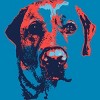 Men's Design By Humans Patriotic Labrador By Rmbuckeye T-Shirt - 2 of 3