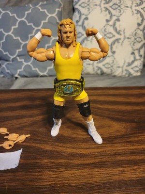 Wwe Legends Elite Mr. Perfect Action Figure : Target