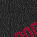 georgia bulldogs uga