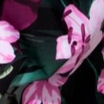 wine pink flower