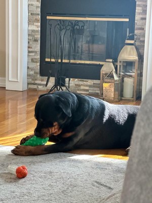 Guest review image 2 of 3, zoom in