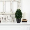 Nearly Natural 13-in Boxwood Topiary Artificial Plant UV Resistant (Indoor/Outdoor) - 3 of 3
