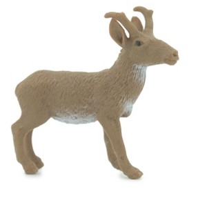 Collectible Wildlife Gifts | Antelope, Pronghorn,  Rubber Animal, Educational, Hand Painted, Realistic Figure, Toy,   Gift,   2 Inches.    F3529 B138 - 1 of 4