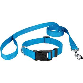 azuza Dog Collar and Leash Set, Lemon Patterns on Blue Nylon Collar and Matching Leash, Great Option for Small Dogs