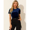 INSPIRE CHIC Women's Velvet Crew Neck Short Sleeve Casual Blouse - 2 of 4