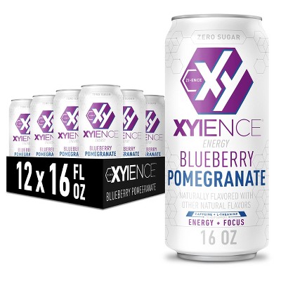 Xyience Blueberry Pomegranate Energy Drink - 16 Fl Oz Can (Pack of 12)