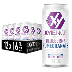 Xyience Blueberry Pomegranate Energy Drink - 16 Fl Oz Can (Pack of 12) - 1 of 4