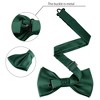 Allegra K Men's Business Causal Matching Pocket Squares Pre-Tied Bow Tie Sets - 2 of 4