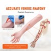 VEVOR Phlebotomy Practice Kit, IV Venipuncture Intravenous Training Kit, High Simulation IV Practice Arm Kit with Carrying Bag - 3 of 4