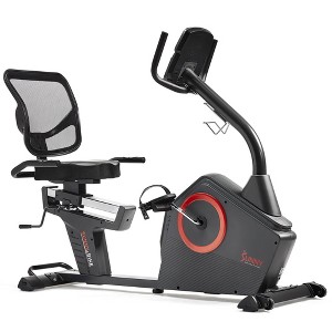 Sunny Health & Fitness Premium Magnetic Resistance Smart Recumbent Bike with Exclusive SunnyFit App - Gray - 1 of 4