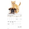 Trends International 2026 Buddies Bilingual French 12"x12" Wall Calendar - 3 of 4