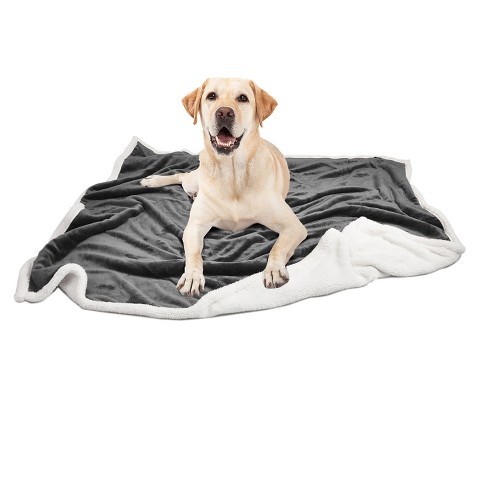 Dog blanket online grey