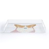 Allyson Johnson Welsh Corgi Portrait Acrylic Tray - Deny Designs - image 2 of 4