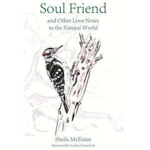 Soul Friend - by  Sheila McEntee (Hardcover) - 1 of 1