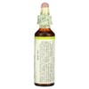 Bach Original Flower Remedies, White Chestnut, 0.7 fl oz (20 ml) - 3 of 4