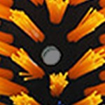 blue and yellow (2 pieces)