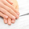 Unique Bargains Double Head Nail Painting Brushes for Polish Painting Gradient Deep Blue 1 Pc - 2 of 4