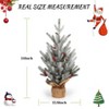 24 Inch Artificial Small Christmas Tree, 2 Ft Table Top Christmas Tree Mini Frosted Pine Tree  for Home Table Centerpiece Office Desk Decor - 4 of 4