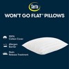 Serta Standard/Queen 2pk Won't Go Flat Pillows White: 300 Thread Count, Cotton Cover, Soft Polyester Fill - image 3 of 4