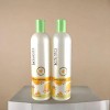 Scruples Verbena Shampoo (16 oz) & Scruples Verbena Conditioner (16 oz) DUO SET - The Invigorating Duo: A Crisp, Botanical Reset for Your Hair & Scalp - 3 of 4