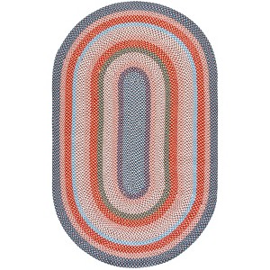 Braided BRA270  Machine Washable UV Resistant Stain Resistant Non-Shedding Hand Woven Indoor/Outdoor Rugs - Safavieh - 1 of 3