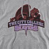 City College of New York Official Distressed Primary Logo Adult Pull-Over Hoodie - 2 of 4