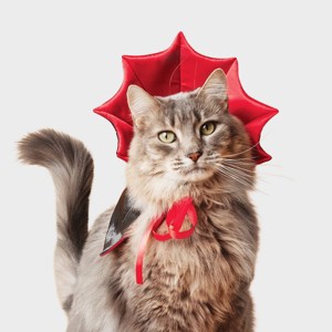 Vampire Cape Cat Headpiece Costume - Boots & Barkley™ Black One Size Fits Most - 1 of 3